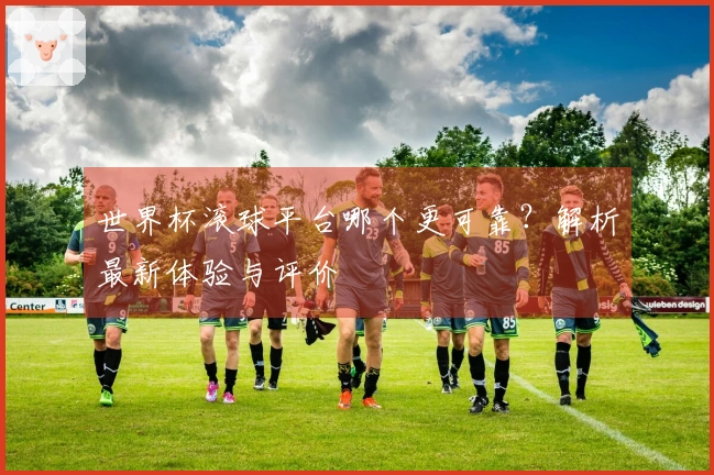 世界杯滚球平台哪个更可靠？解析最新体验与评价