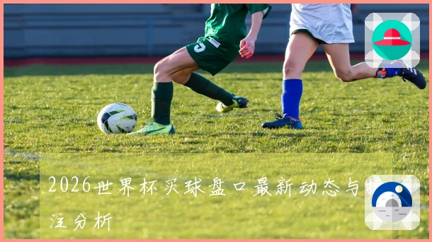 2026世界杯买球盘口最新动态与投注分析