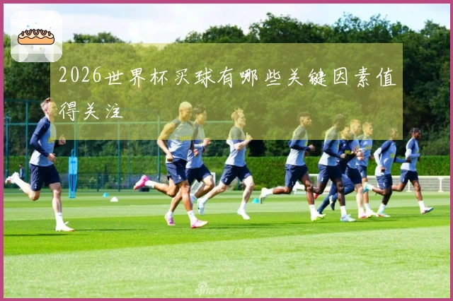 2026世界杯买球有哪些关键因素值得关注